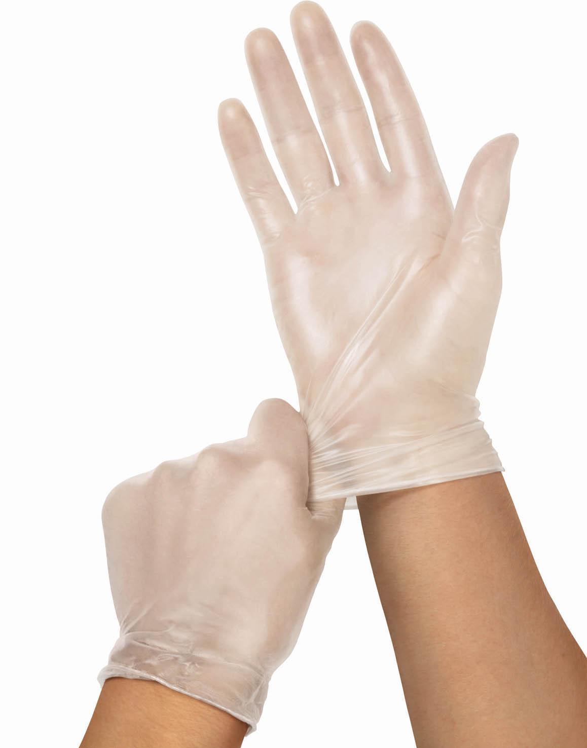 Powder free clear vinyl exam gloves worn on both hands against a white background