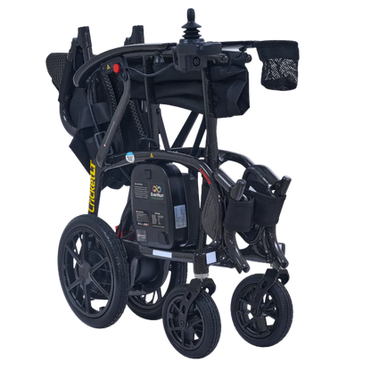 Golden Cricket LT (GP309)