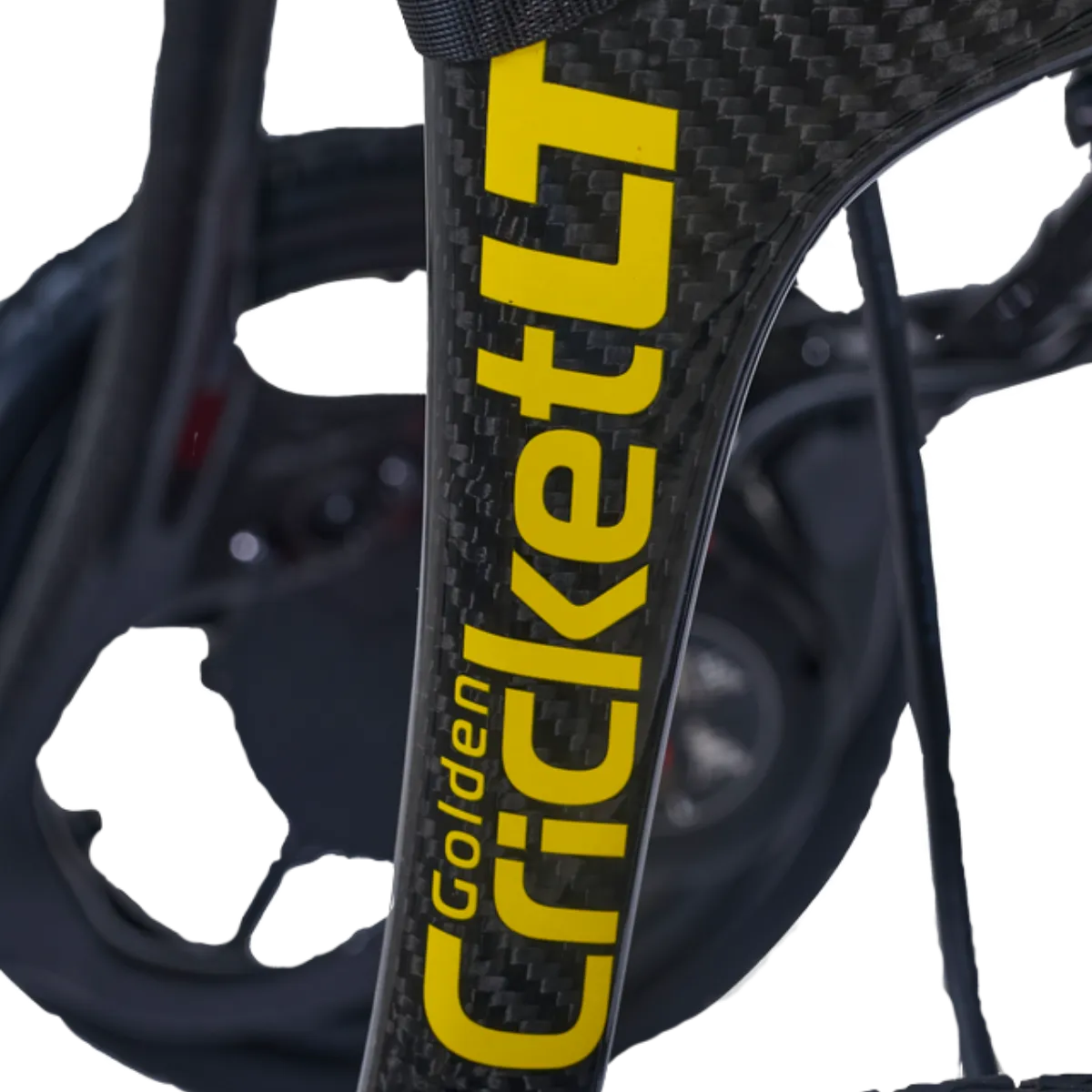 Golden Cricket LT (GP309)