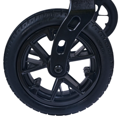 Golden Cricket LT (GP309)