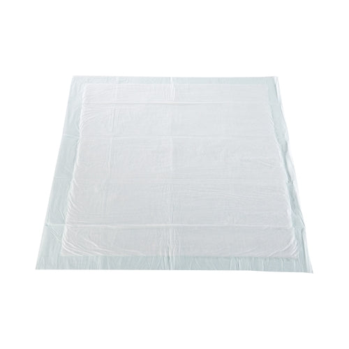 McKesson Disposable Underpad McKesson Super 30 X 30 Inch