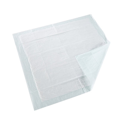 McKesson Disposable Underpad McKesson Super 30 X 30 Inch