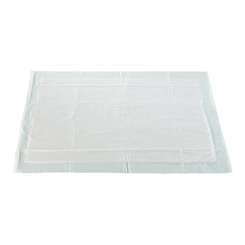 McKesson Disposable Underpad McKesson 23 X 36 Inch