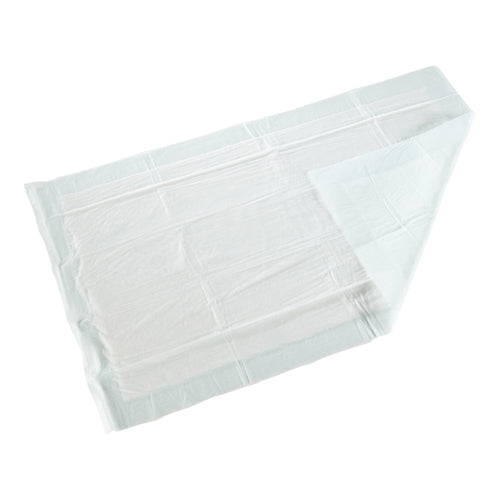 McKesson Disposable Underpad McKesson 23 X 36 Inch