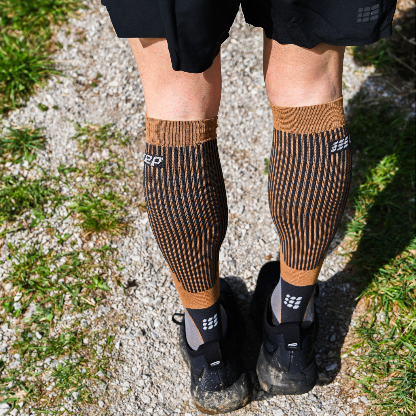 Cold Weather Socks, Tall, Women