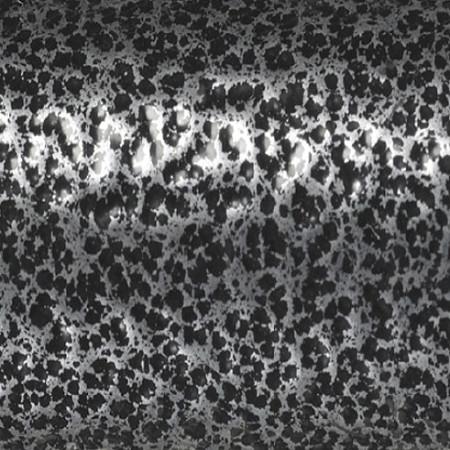 Wheelchair upholstery fabric close-up showing silver and black animal print pattern