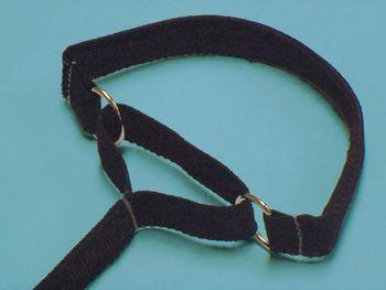 Leg lift strap with black fabric webbing and two metal D-rings on a light blue background